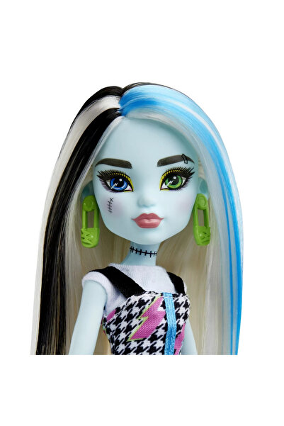 MONSTER HIGH PAPUSA FRANKIE STEIN