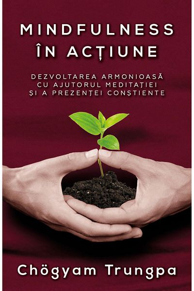 Editura Herald Mindfulness in action - Harmonious development with the help of meditation and present consciousness