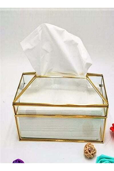 HALAMODO Metal Mirror Tissue Box Clear/Gold 19.5x11x12centimeter