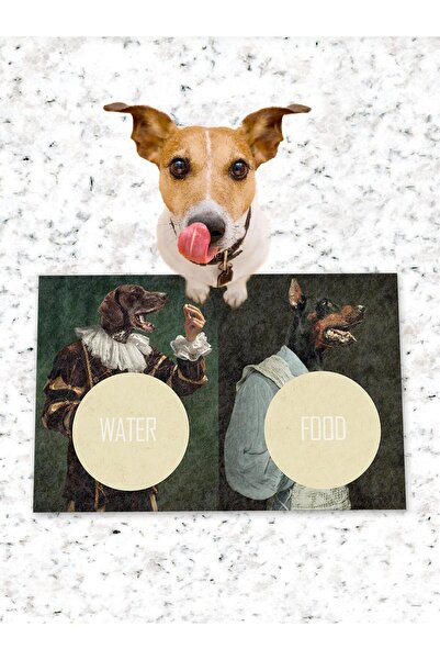 Patipeti Dog Cat Food and Training Mat with Non-Slip Base