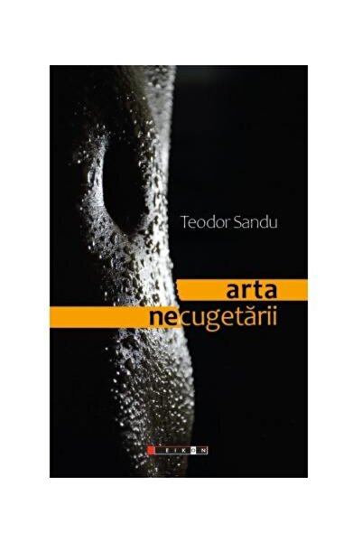 Editura Eikon Arta necugetarii, Teodor Sandu