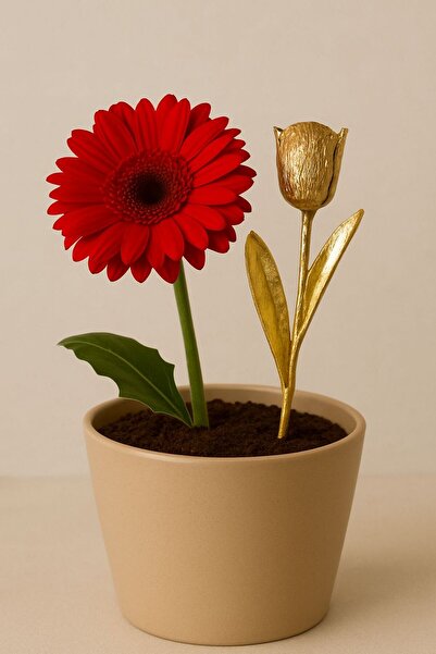 Arma House Toprak saksı aksesuarı 1 Adet