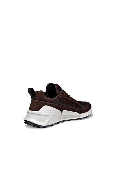 Ecco Biom 2.1 X Mountain M Mocha