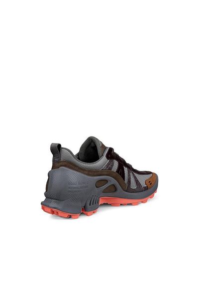 Ecco Biom C-Trail W Steel