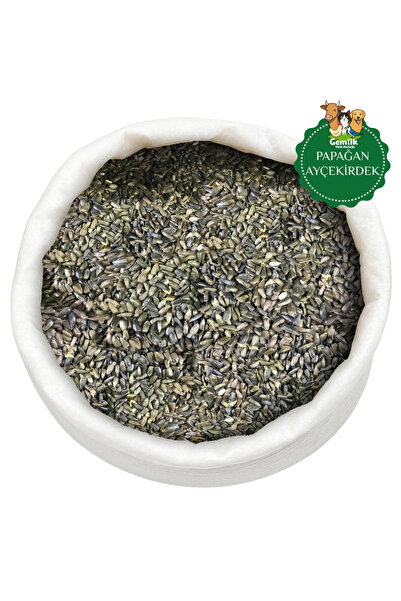 shop Cennet ve Sultan Papağanı 2 KG Paraket Siyah Çekirdek