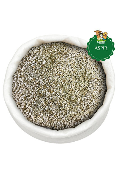 shop Yemlik Aspir Tohumu Tavuk Güvercin Kuş Yemi 1 KG