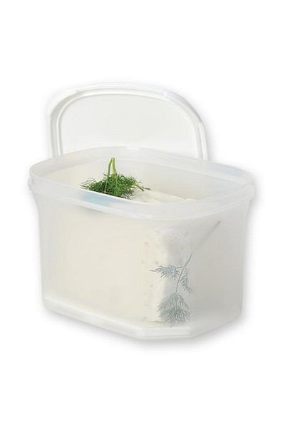 Geseus Moon Star 1.8 Liter Airtight Cheese Storage Container with Strainer - Mid-201