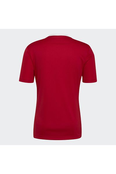 adidas Entrada 22 Jersey