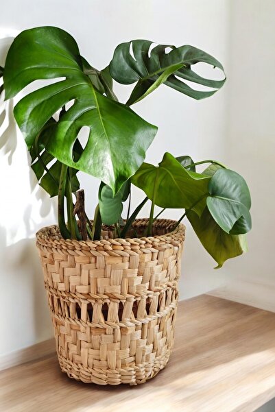 afralya home Hasır El Yapımı Büyük Saksı 28 Çap