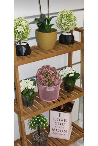 MarangozDede Saksılık Dekoratif Çiçeklik Düzenleyici