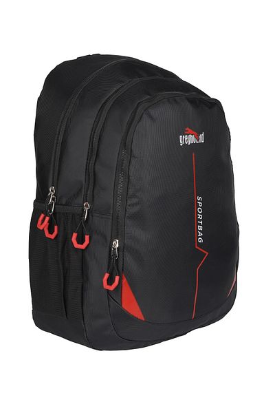 RKY SERENITY Greyhound 45 cm Large Size 3 Compartment Sportbag with Paint Economic Price School Backpack