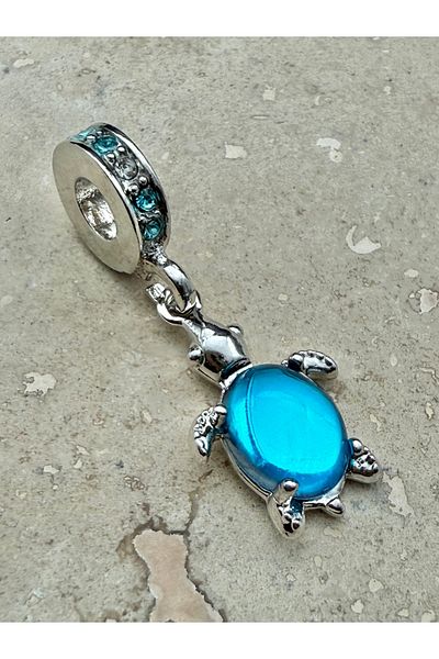 Snartun Dangle Stone Turtle Charm Changeable Charm Steel Bracelet