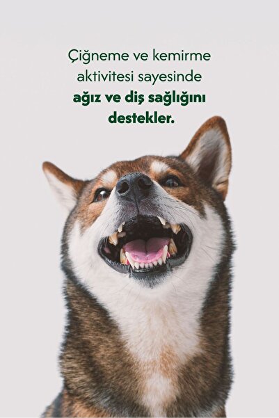 WULF Koç Boynuz %100 Doğal Çiğneme Ödülü 2 Adet