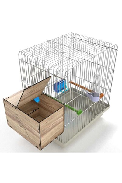Demo Tasarım Gun Nest Rainbow Finch Bird Nest