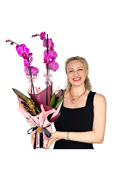 Fidanburada Mor Orkide - Hediye Paketli - Purple Orchid