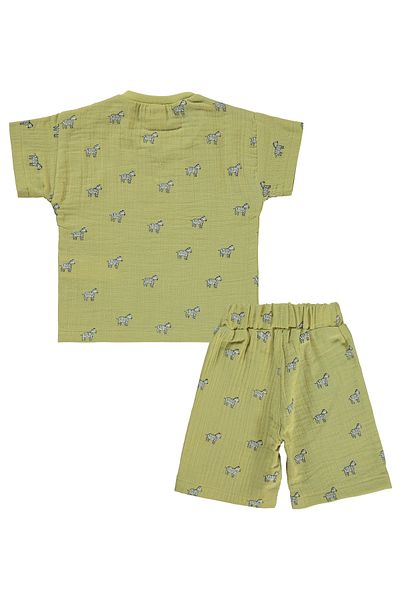 Civil Baby 6-18 Months Baby Boy Green Shorts Set