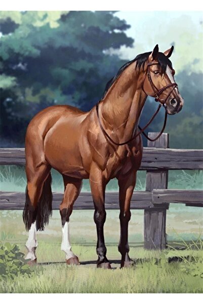 Pastelya Sayılarla Boyama Seti Çerçeveli Kasnaklı Çiftlikteki At 40x50