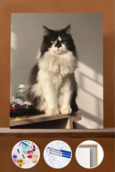 Pastelya Sayılarla Boyama Seti Çerçeveli Kasnaklı Cool Kedi 40 x 50 Cm