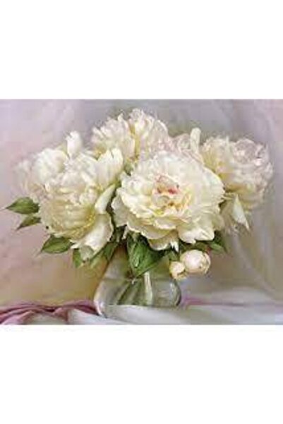 Pastelya Sayılarla Boyama Seti Çerçeveli Kasnaklı Beyaz Güller 40 x 50 Cm