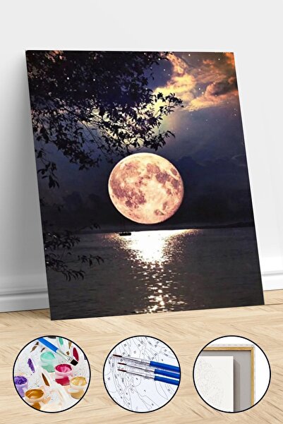 Pastelya Dolunay Sayılarla Boyama Seti Çerçeveli Kasnaklı 40x50 Cm ( 4267 )