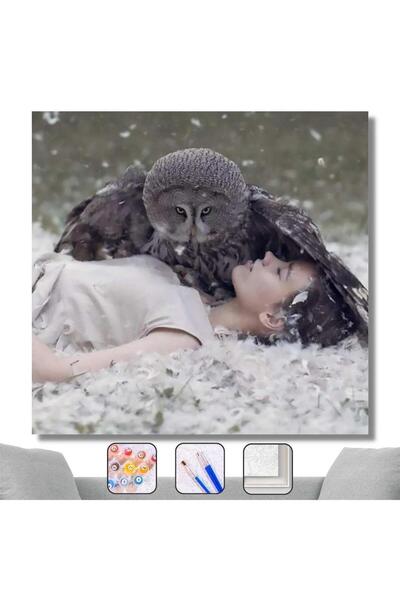 Pastelya Sayılarla Boyama Seti Çerçeveli Kasnaklı Baykuş ve Güzel  50 x 65 cm