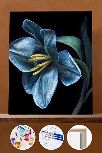 kendinyaphobi Yaşam Çiçeği 2 Sayılarla Boyama Seti Çerçeveli Kasnaklı