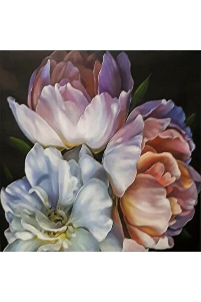 Pastelya Sayılarla Boyama Seti Çerçeveli Kasnaklı Şakayık Kıvrımları 40 x 50 Cm