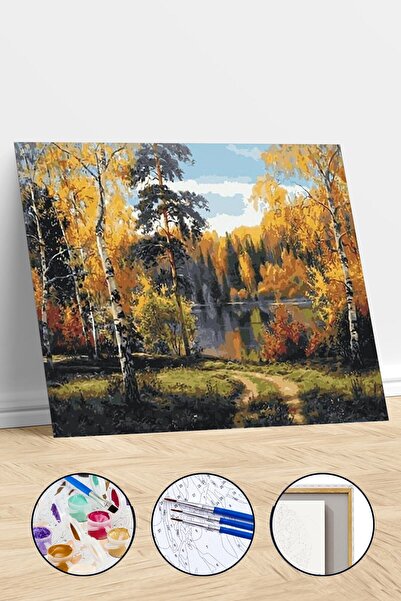 Pastelya Sayılarla Boyama Seti Çerçeveli Kasnaklı Kayın Ormanı 60 x 75 cm