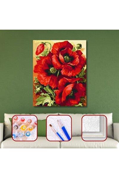 Pastelya Sayılarla Boyama Seti Çerçeveli Kasnaklı Üç Gelincik 40 x 50 Cm
