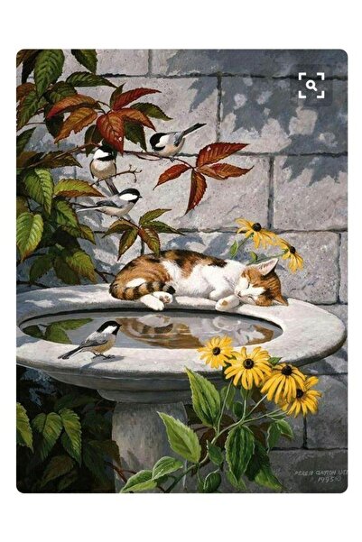 kendinyaphobi Sayılarla Boyama Seti Çerçeveli Kasnaklı Uyuyan Kedi ve Kuşlar ...