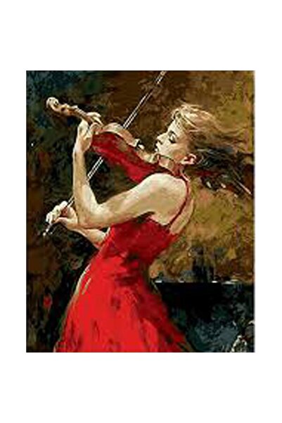Pastelya Keman ve Aşk Sayılarla Boyama Seti Çerçeveli Kasnaklı 40x50 cm