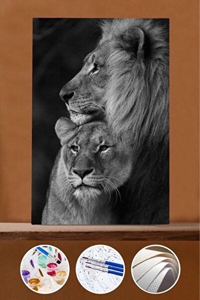 Pastelya Sayılarla Boyama Seti Çerçeveli Kasnaklı Aslanların Aşkı 3 40x50 Cm