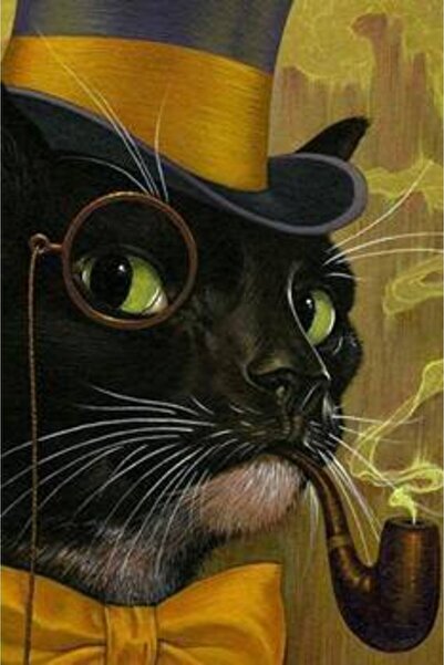 Genel Markalar Sayılarla Boyama Seti Çerçeveli Kasnaklı Gözlüklü Kedi 40 x 50 cm