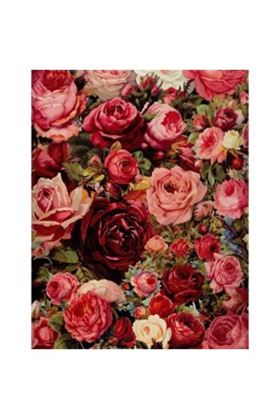 Pastelya Sayılarla Boyama Seti Çerçeveli Kasnaklı Güller 40 x 50 Cm