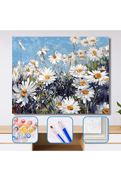 Pastelya Sayılarla Boyama Seti Çerçeveli Kasnaklı Papatyalar 50x65
