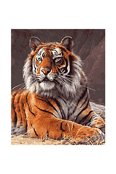 Pastelya Sayılarla Boyama Seti Çerçeveli Kasnaklı Güçlü Kaplan 40x50 Cm