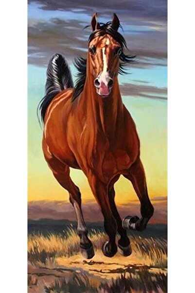 kendinyaphobi Sayılarla Boyama Seti Çerçeveli Kasnaklı Yarış Atı 40x50cm