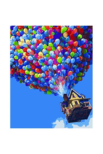 Genel Markalar Uçan Ev Sayılarla Boyama Seti Çerçeveli Kasnaklı 40x50 cm