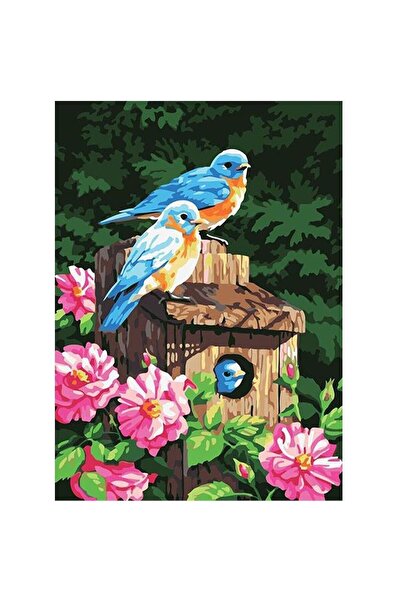 Genel Markalar Sayılarla Boyama Seti Çerçeveli Kasnaklı Mavi Kuşlar Ve Çiçekl...