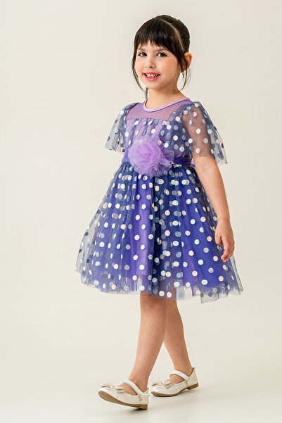 Eray Kids Kız Çocuk Abiye Elbise Simli Puantiye Desenli Tül Kollu 2-5 Yaş