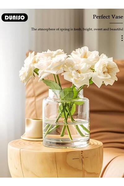 Generic Creative Transparent Glass Vase Craft Aesthetic Decoration Hydroponic Plant Desktop Decoration