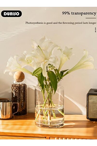 Generic Creative Transparent Glass Vase Craft Aesthetic Decoration Hydroponic Plant Desktop Decoration