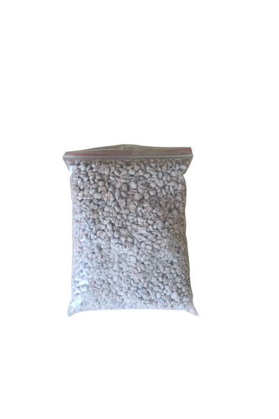 Mantarım İstiridye Mantar Tohumu 1 Kg (4 ADET EKİM POŞETİ HEDİYELİ)