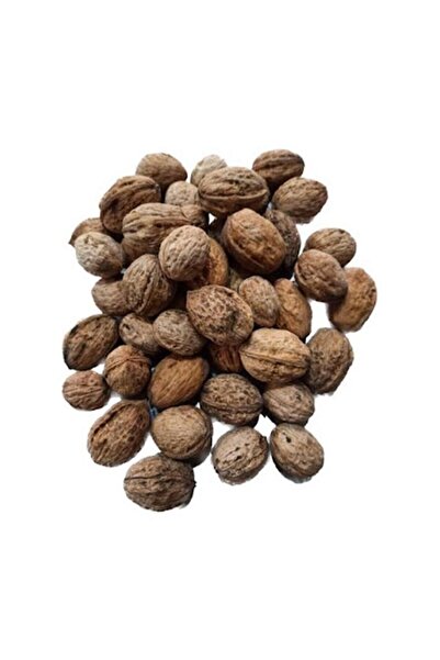 SİLİFKE MARKET Kabuklu Ceviz 1 kg