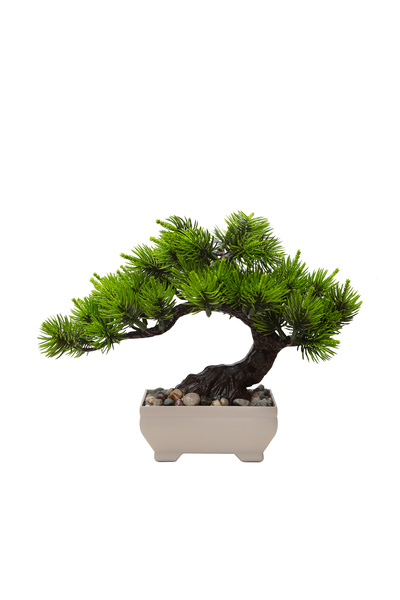 HOMİNG Homing Yapay Dekoratif Çam Ağacı 20 cm