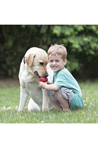 Kong 15.5 Cm XXlarge Classic dog Toy with Prize TanK