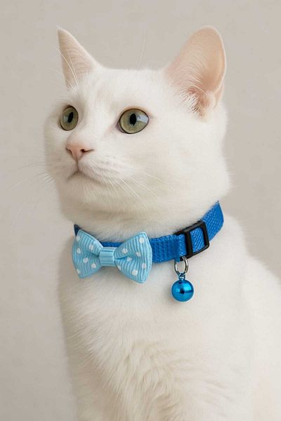 MIT leash