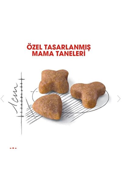 Royal Canin Sensible 33 Hassas Sindirim Sistemi Destekleyici Kedi Maması 4kg
