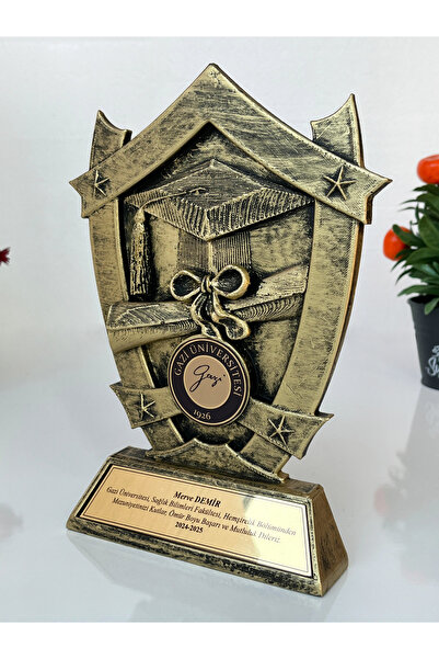 Teknookul Üniversite, Lise, İlkokul Mezuniyet Günü Özel Hatıra Anı Plaketi