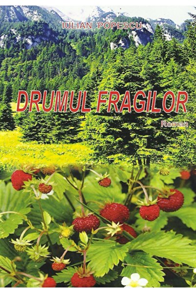 Editura Sitech Drumul fragilor, Iulian Popescu